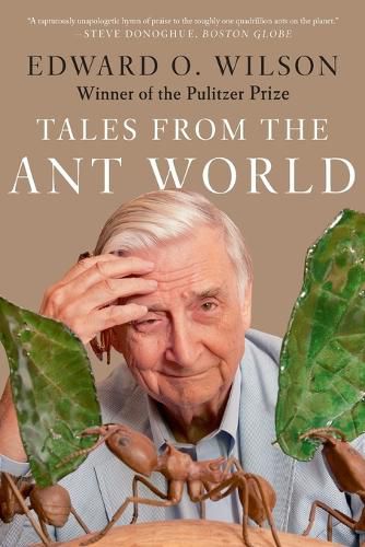 Cover image for Tales from the Ant World