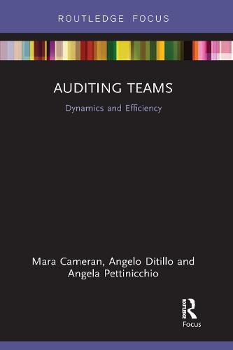 Cover image for Auditing Teams: Dynamics and Efficiency