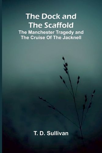 Cover image for The Demon Trapper of Umbagog A Thrilling Tale of the Maine Forests (Edition1)