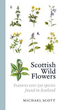 Cover image for Scottish Wild Flowers