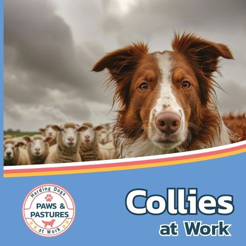 Collies at Work