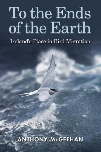 Cover image for To the Ends of the Earth: Ireland's Place in Bird Migration