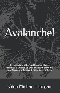 Cover image for Avalanche!