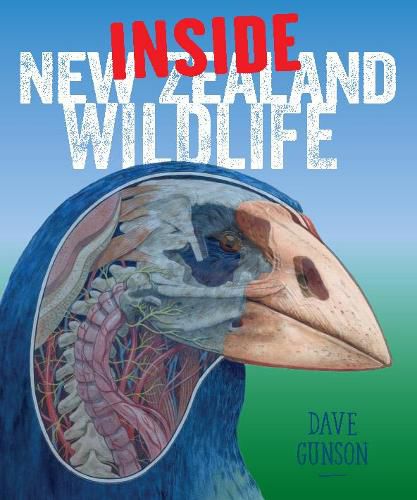 Cover image for Inside New Zealand Wildlife