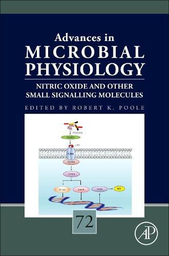 Nitric Oxide and Other Small Signalling Molecules