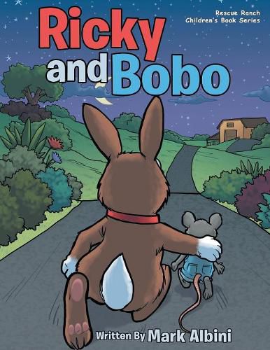 Cover image for Ricky and Bobo