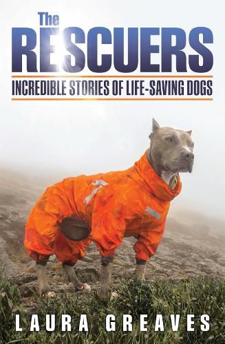 Cover image for The Rescuers