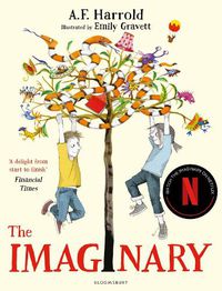 Cover image for The Imaginary