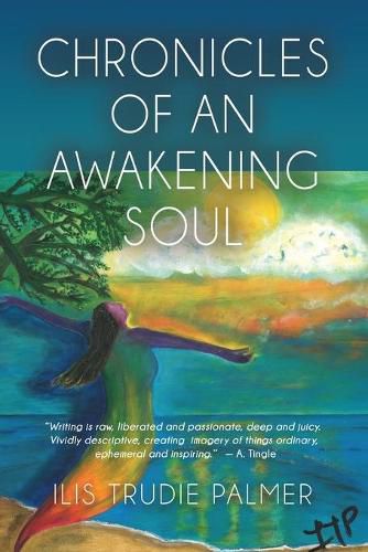 Cover image for Chronicles of an Awakening Soul