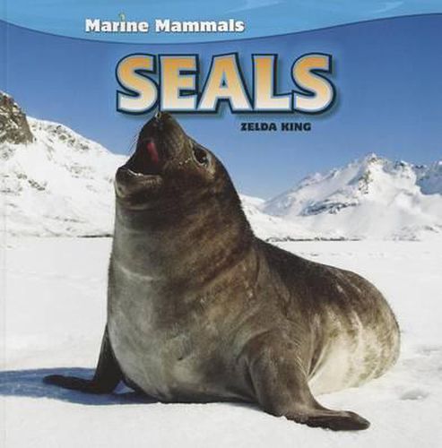 Cover image for Seals