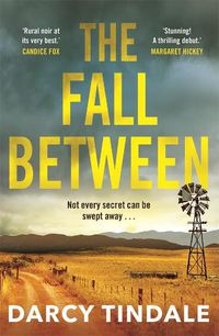 Cover image for The Fall Between