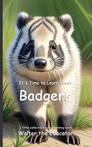 Cover image for It's Time to Learn about Badgers