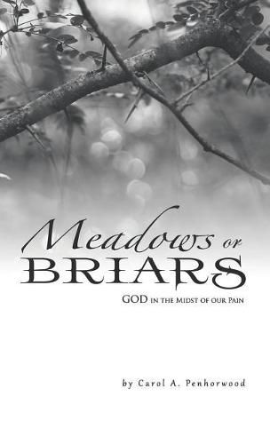 Cover image for Meadows or Briars: God in the Midst of Our Pain