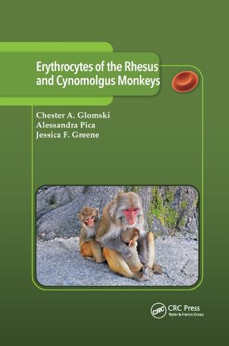 Cover image for Erythrocytes of the Rhesus and Cynomolgus Monkeys