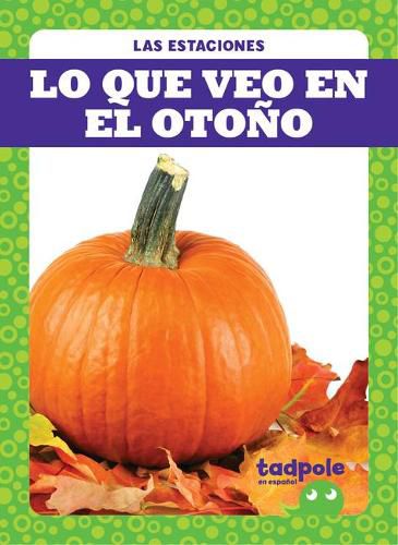 Lo Que Veo En El Otono (What I See Fall)