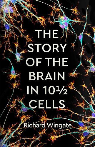 The Story of the Brain in Ten and a Half Cells