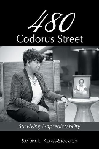 Cover image for 480 Codorus Street: Surviving Unpredictability