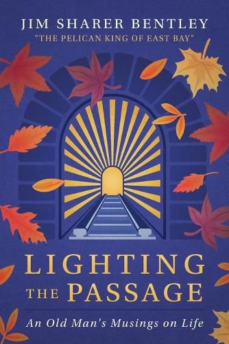 Cover image for Lighting the Passage
