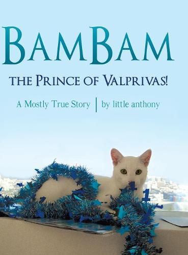 Cover image for BamBam, the Prince of Valprivas!: A Mostly True Story
