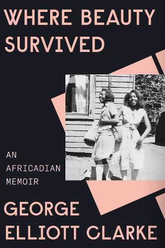Cover image for Where Beauty Survived: An Africadian Memoir