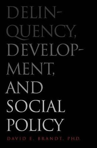 Cover image for Delinquency, Development, and Social Policy