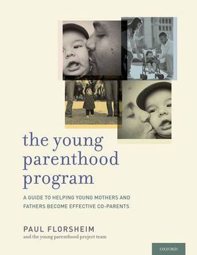 Cover image for The Young Parenthood Program: A Guide to Helping Young Mothers and Fathers Become Effective Co-Parents