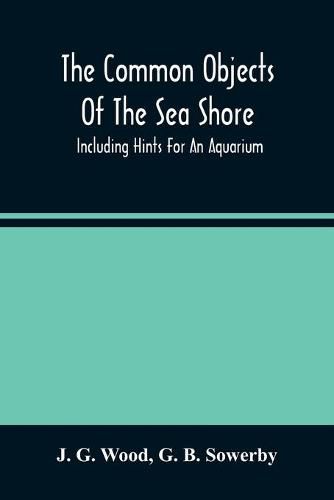 The Common Objects Of The Sea Shore: Including Hints For An Aquarium