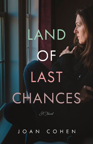 Cover image for The Land of Last Chances: A Novel