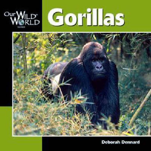 Cover image for Gorillas