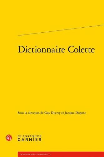 Cover image for Dictionnaire Colette