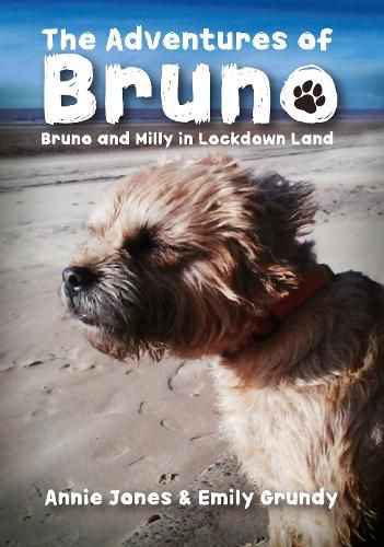 The Adventures of Bruno: Bruno and Milly in Lockdown Land