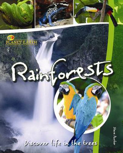 Rainforests: Discover Life in the Trees