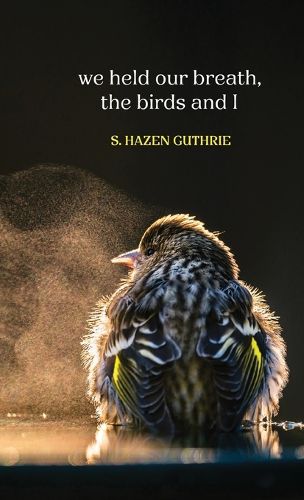 Cover image for we held our breath, the birds and I