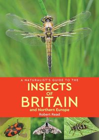 Cover image for A Naturalist's Guide to the Insects of Britain and Northern Europe (2nd edition)