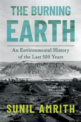 Cover image for The Burning Earth