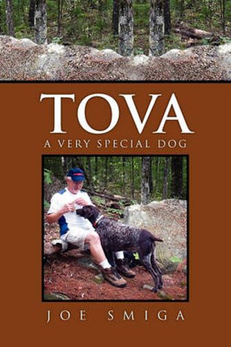 Cover image for Tova