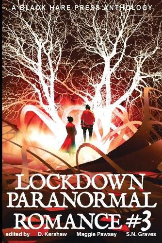 Cover image for LOCKDOWN paranormal Romance #3