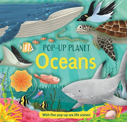 Cover image for Pop Up Planet Oceans