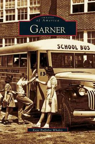 Cover image for Garner
