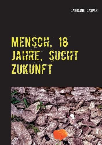 Cover image for Mensch, 18 Jahre, sucht Zukunft