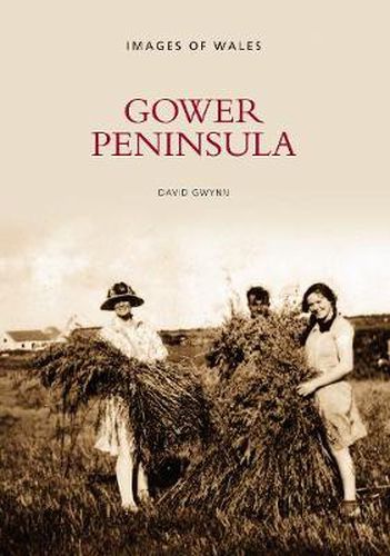 Cover image for Gower Peninsula: Images of Wales