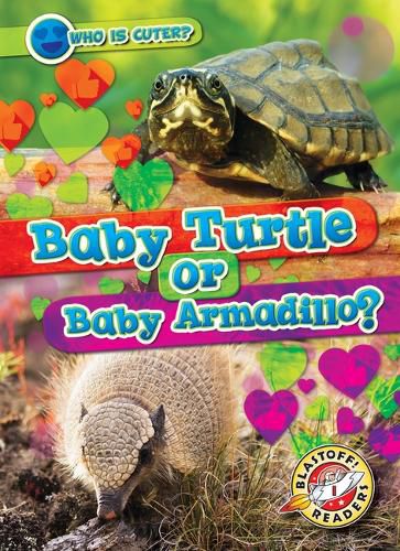 Cover image for Baby Turtle or Baby Armadillo?