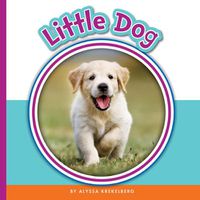 Cover image for Little Dog