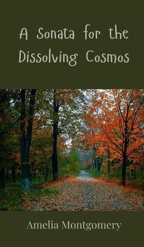 Cover image for A Sonata for the Dissolving Cosmos