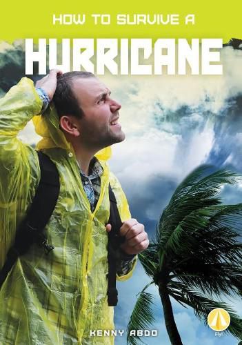 Cover image for How to Survive a Hurricane