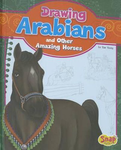 Cover image for Drawing Arabians and Other Amazing Horses