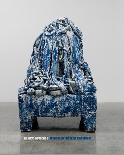 Cover image for Matt Wedel: Phenomenal Debris