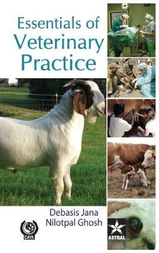 Cover image for Essentials of Veterinary Practice