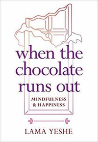 Cover image for When the Chocolate Runs Out: Mindfulness and Happiness