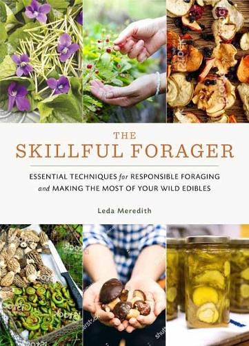 Cover image for Skillful Forager: Essential Techniques for Responsible Foraging and Making the Most of Your Wild Edibles